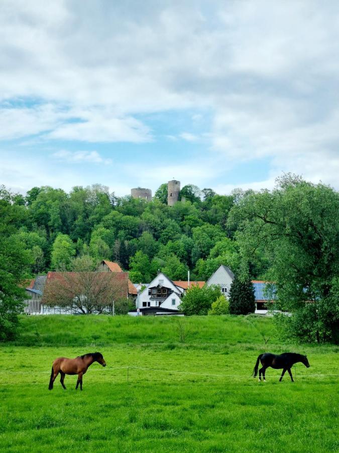 Ferienhaus Diemelaue Mit Klimaanlage Bad Karlshafen Exteriér fotografie
